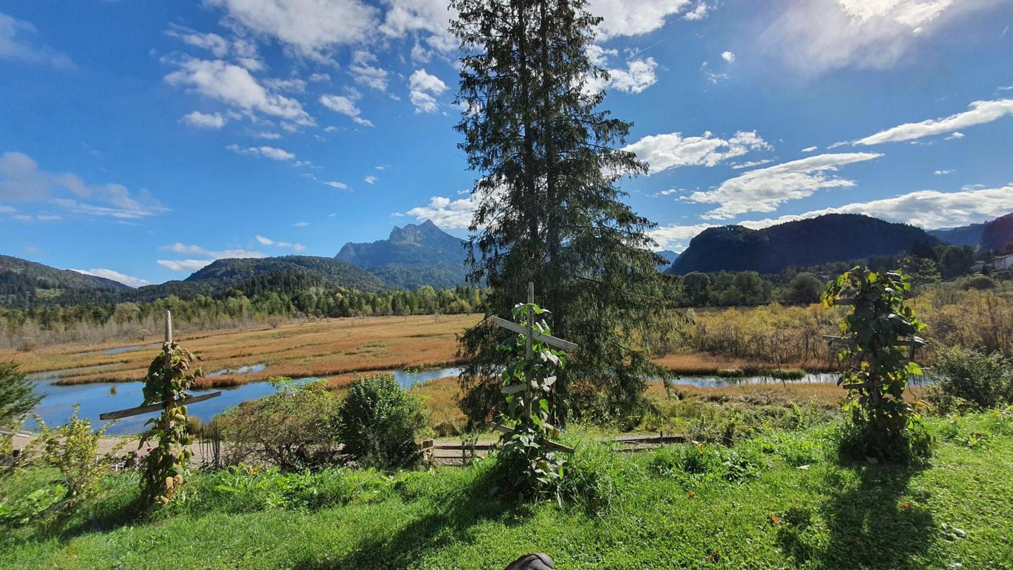 Bauernlodge-Musauer-Lechauen Экстерьер фото